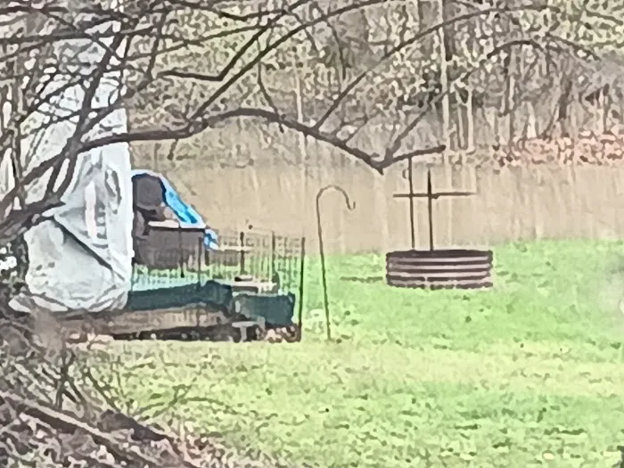 Oakdale Campground 7