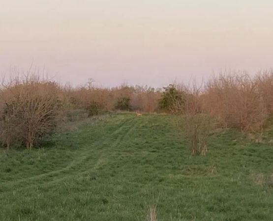 Remember When Farm