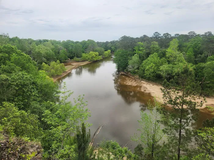 Cliffs of the Neuse campground 2