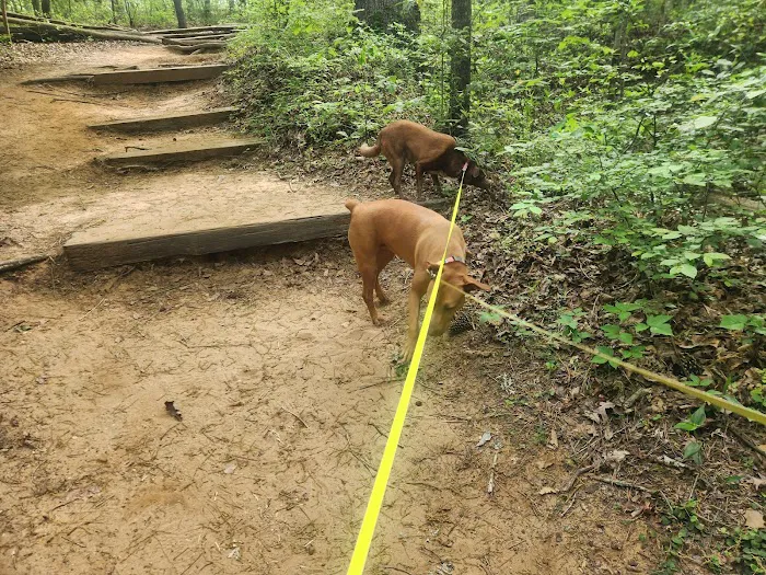 Cliffs of the Neuse campground 8