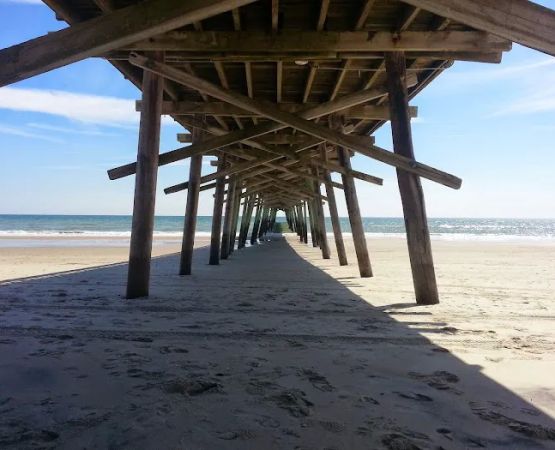 Camp Ocean Forest