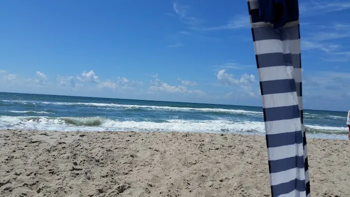 Camp Ocean Forest 6