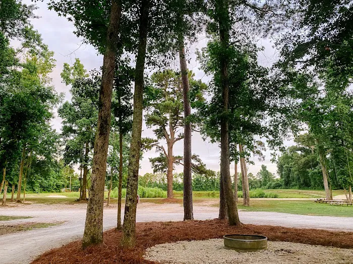Magnolia Lane Campground 2