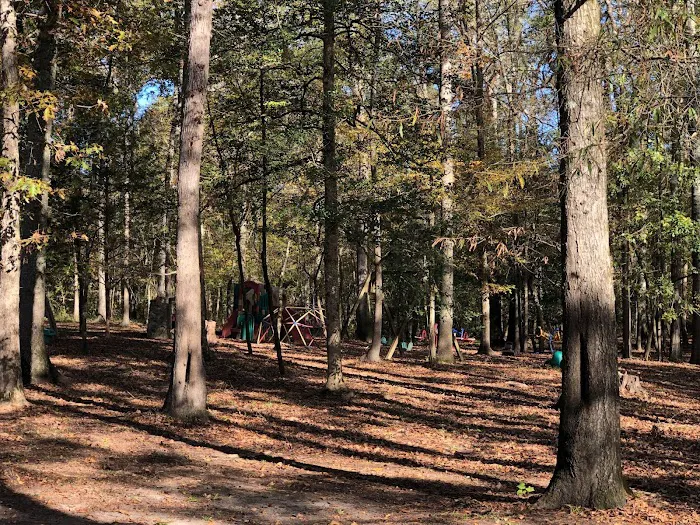 Core Creek Landing 6