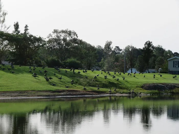 Turkey Quarter Campground & RV Park 3