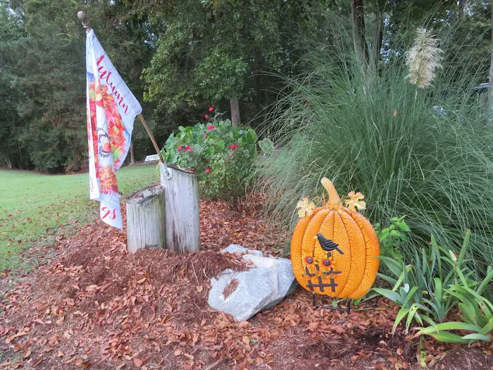 Turkey Quarter Campground & RV Park 6