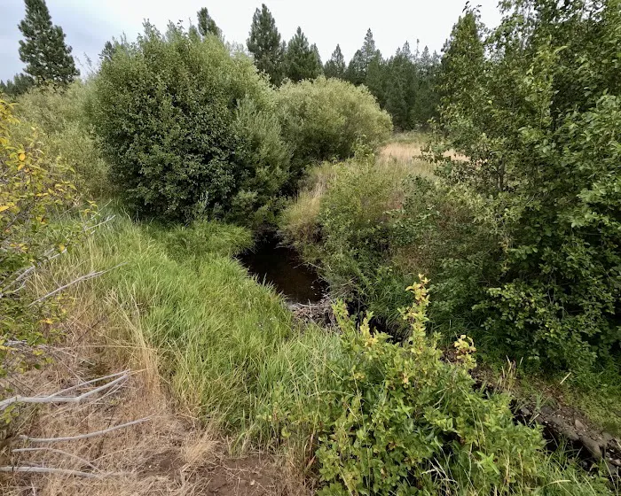 Brooks Memorial Group Campground 2