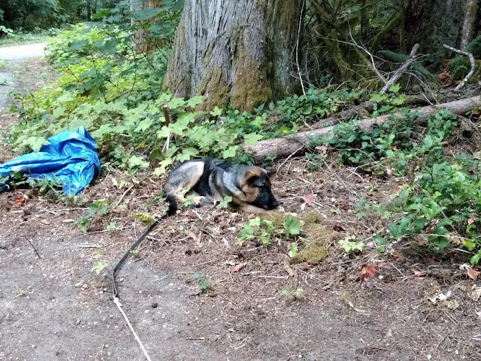Sulphur Creek Campground 8