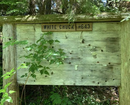 Owl Creek Campground