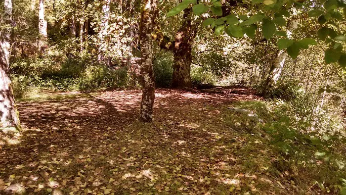 O' Neil Creek 2