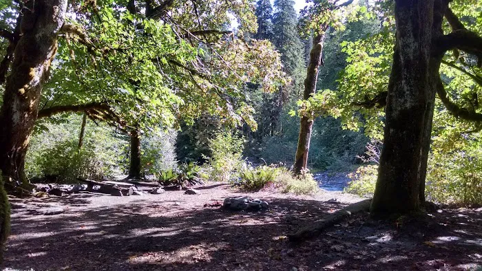 O' Neil Creek 1