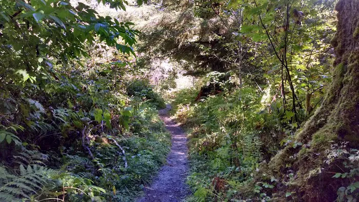 O' Neil Creek 5