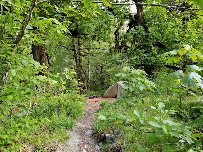 O' Neil Creek 3