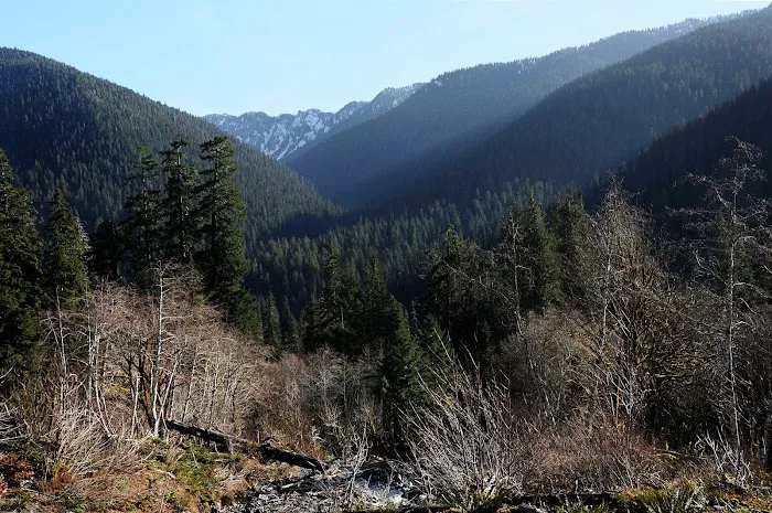 O' Neil Creek 7