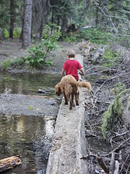Ponderosa Camp 6