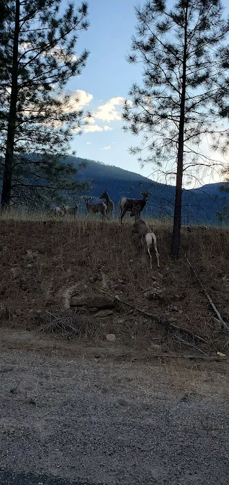 Peck Gulch Campground 5