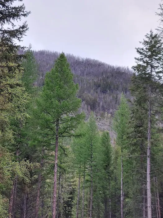 Birch Creek Recreation Area 5