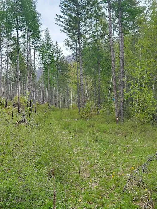 Birch Creek Recreation Area 8