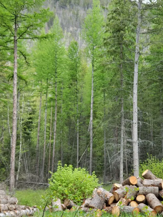 Birch Creek Recreation Area 7