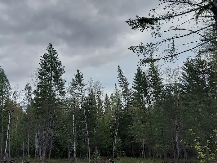 Birch Creek Recreation Area 9