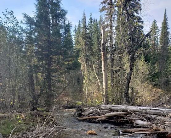 Clarence Creek Campground