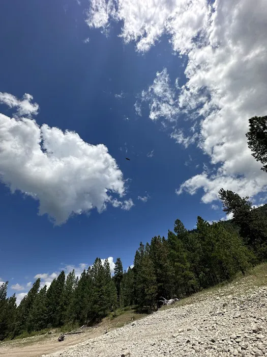 Rocky Gorge Campground 8