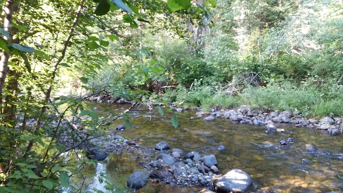 Pete Creek Campground 2