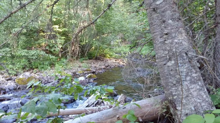 Pete Creek Campground 5