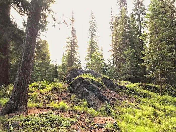 Pete Creek Campground 8