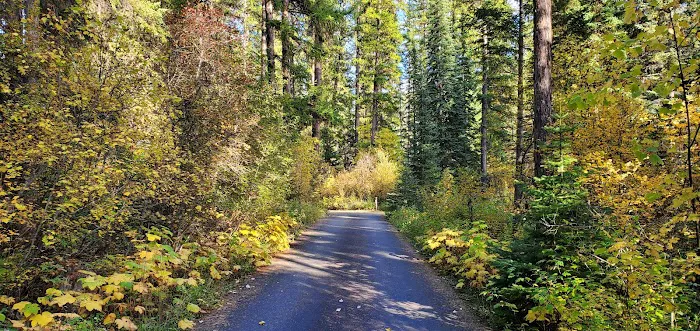 Whitetail Creek Campground 4