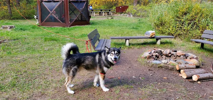 Whitetail Creek Campground 6