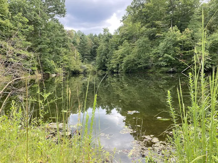 Beaver Lakes Campground 1