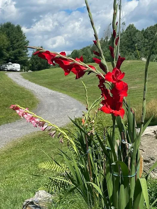 Beaver Lakes Campground 4