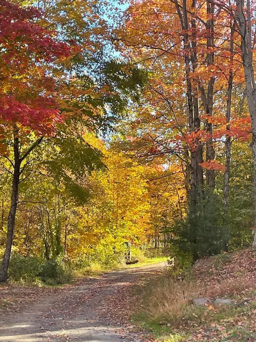Beaver Lakes Campground 5