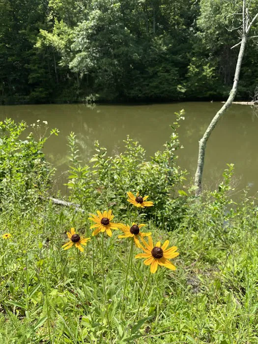 Beaver Lakes Campground 9