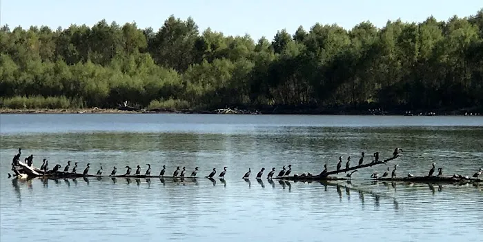 Outback Campground & Marina 4