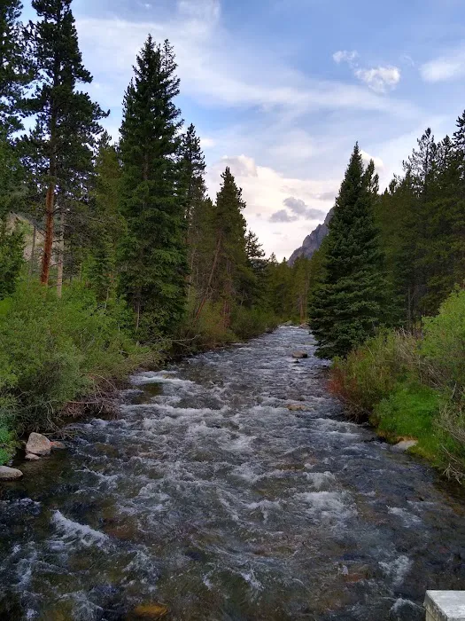 Greenough Lake Campground 3