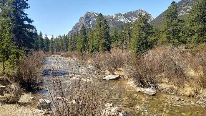 Greenough Lake Campground 9