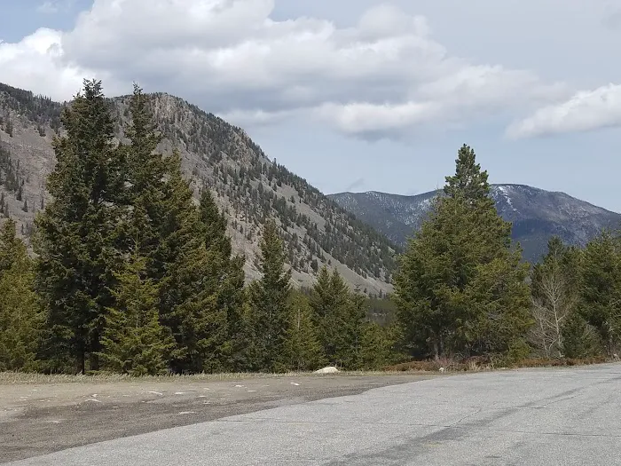 Limber Pine Campground 2