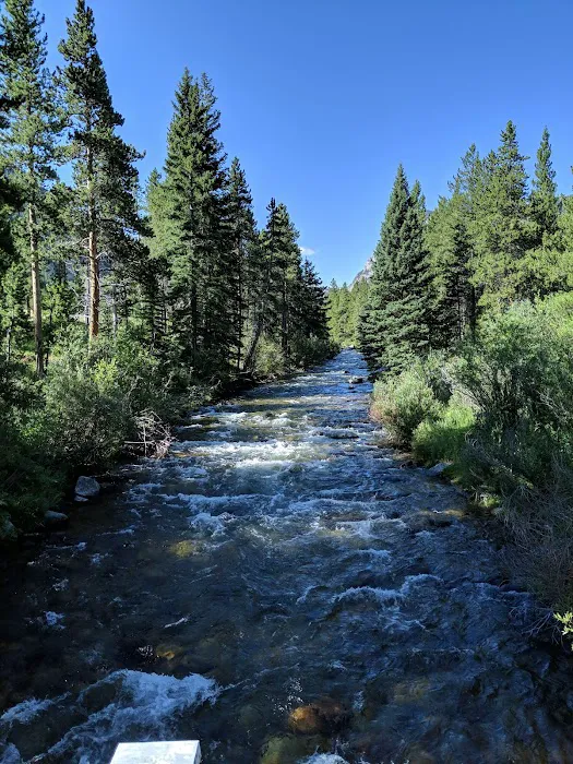 Limber Pine Campground 0