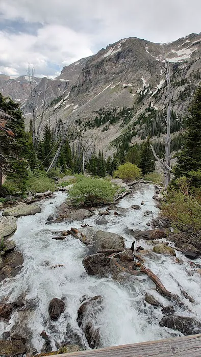 Limber Pine Campground 3