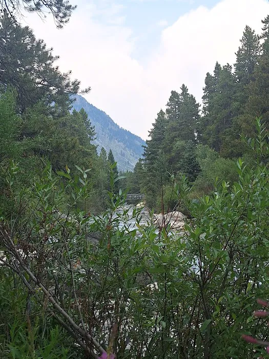 Limber Pine Campground 4