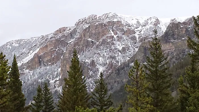 Limber Pine Campground 6