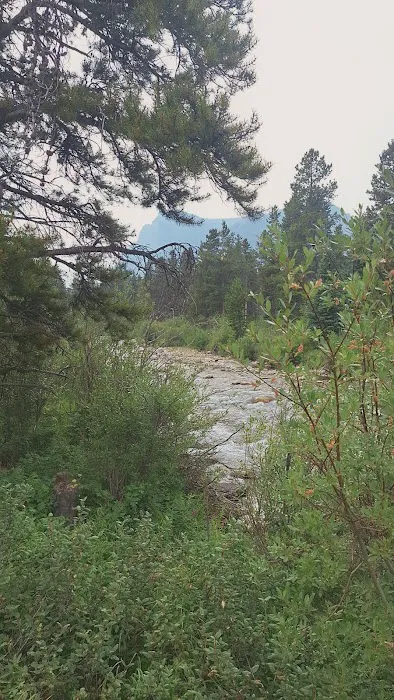 Limber Pine Campground 7