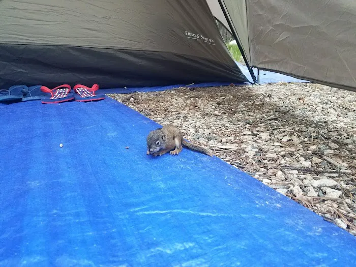 Parkside Campground 0