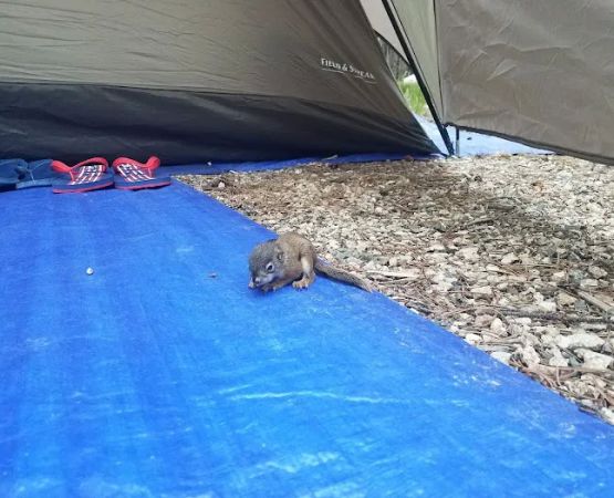 Parkside Campground