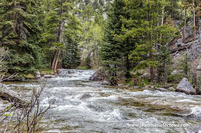 Parkside Campground 1