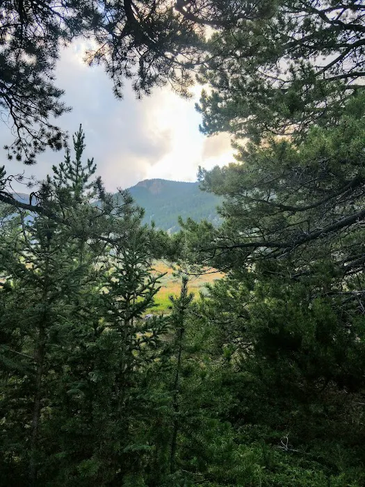 Parkside Campground 8