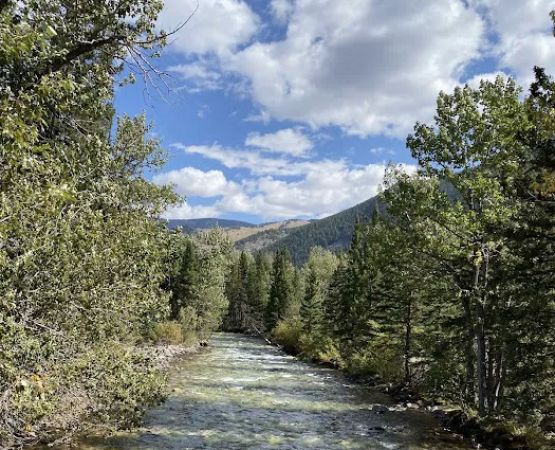 Rattin Campground