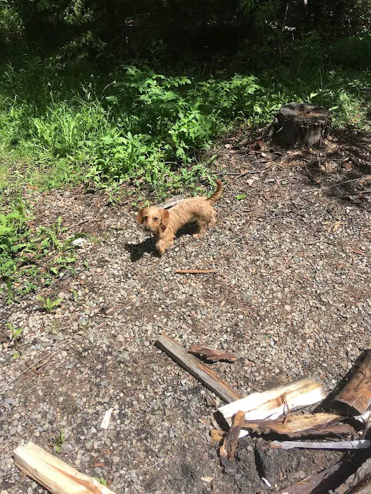 Rattin Campground 6